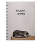 Carnet Tablette Gris Chat Dormir Sur Boîte (Devant)