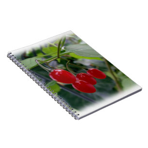 Carnet Taches rouges d'automne