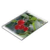 Carnet Taches rouges d'automne (Côté gauche)