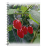 Carnet Taches rouges d'automne (Devant)