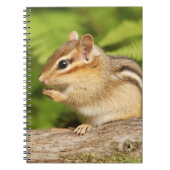 Carnet Tamia pelucheuse adorable de bébé (Devant)