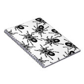 Carnet Tarantula (Côté Droit)