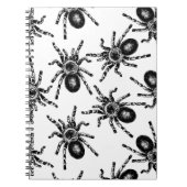 Carnet Tarantula (Devant)