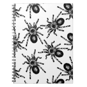 Carnet Tarantula
