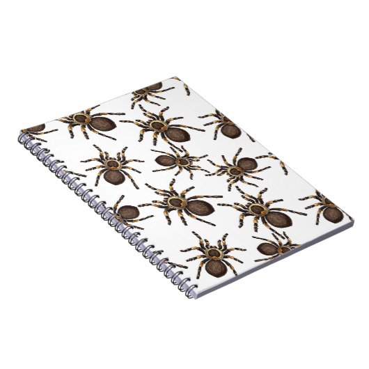 Carnet Tarantula sur blanc (Côté Droit)