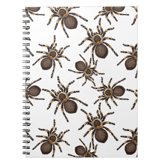 Carnet Tarantula sur blanc (Devant)