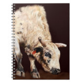 Carnet Taureau de Rodéo Bucking Blanc (Devant)