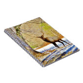 Carnet > Taureau frontal en Neige (Côté Droit)