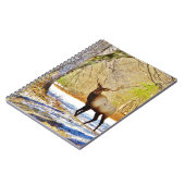 Carnet > Taureau frontal en Neige (Côté gauche)