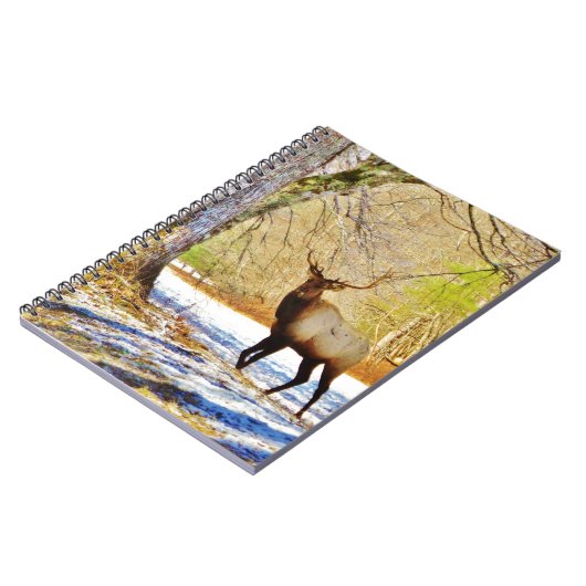 Carnet > Taureau frontal en Neige (Côté gauche)