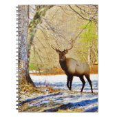 Carnet > Taureau frontal en Neige (Devant)