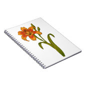 Carnet Tawny day (Côté Droit)