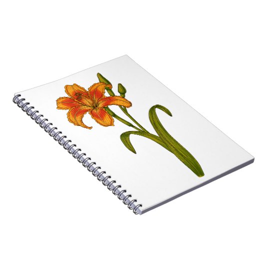 Carnet Tawny day (Côté Droit)