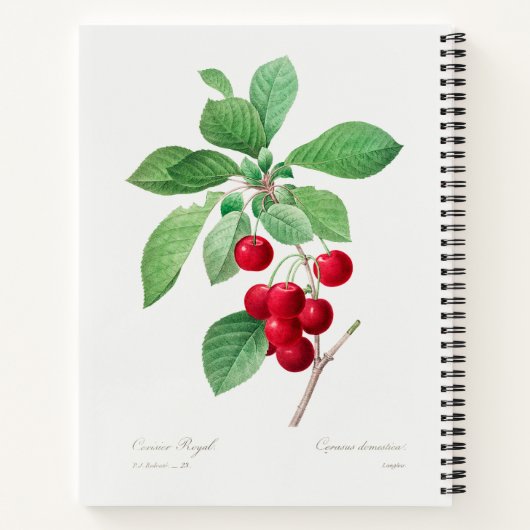 Carnet Tcherry Botanical Print (Dos)