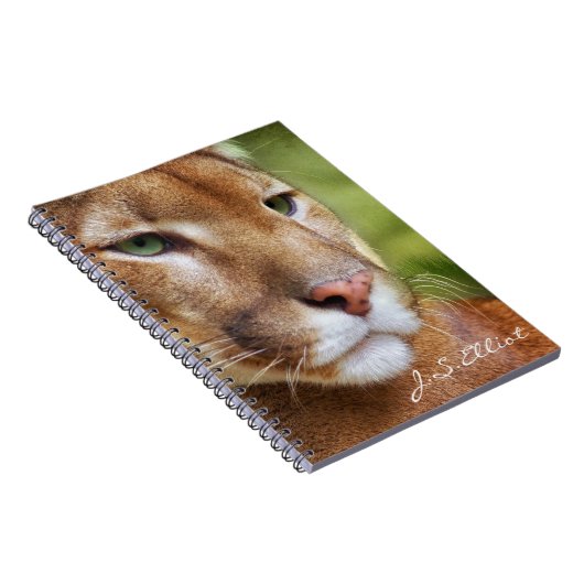 Carnet TCWC - Art de puma de puma (Côté Droit)