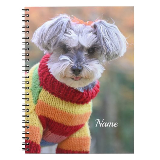 Carnet Teacup Schnauzer Chien chiot dans un pull (Devant)