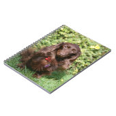 Carnet Teckel miniature aux cheveux longs Brown (Côté gauche)