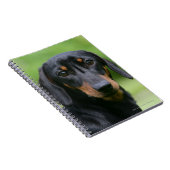 Carnet Teckel noir et bronzage 1 de Miniture (Côté Droit)