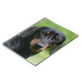 Carnet Teckel noir et bronzage 1 de Miniture (Côté gauche)