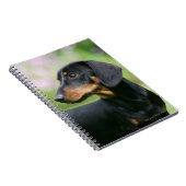 Carnet Teckel noir et bronzage 2 de Miniture (Côté Droit)