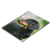 Carnet Teckel noir et bronzage 2 de Miniture (Côté gauche)