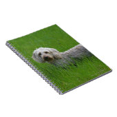 Carnet Teckel standard à poils durs dans l'herbe (Côté Droit)