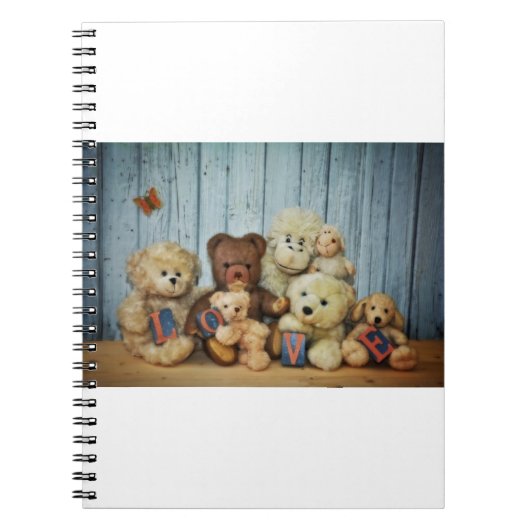 Carnet Teddy mit Freunde (Devant)