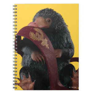 Carnet Teddy With Tie Graphic