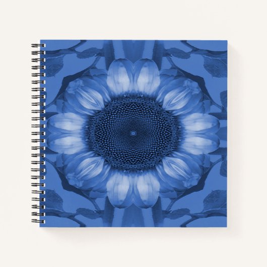 Carnet Temps bleu... (Devant)