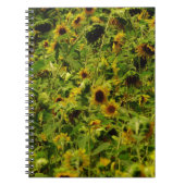 Carnet Terrain de tournesol (Devant)