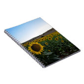 Carnet Terrain de tournesol (Côté Droit)