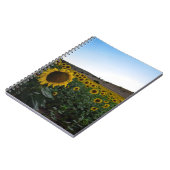 Carnet Terrain de tournesol (Côté gauche)