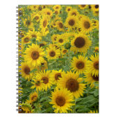 Carnet Terrain de tournesol jaune (Devant)