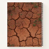 Carnet terrain sec et fissuré (Dos)