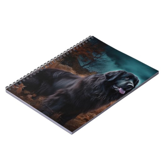 Carnet Terre-Neuve Halloween (Côté gauche)