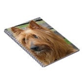 Carnet terrier australien sur banc.png (Côté Droit)