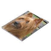 Carnet terrier australien sur banc.png (Côté gauche)