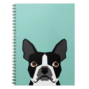 Carnet Terrier de Boston