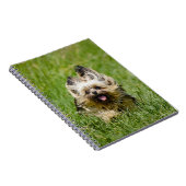 Carnet Terrier Yorkshire mignon Traversant L'Herbe (Côté Droit)