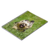 Carnet Terrier Yorkshire mignon Traversant L'Herbe (Côté gauche)