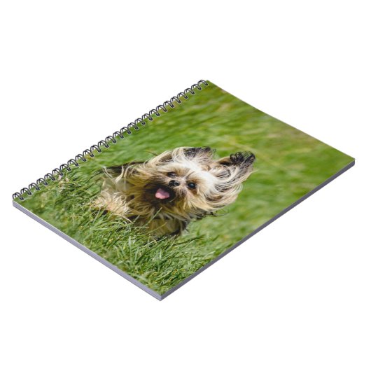 Carnet Terrier Yorkshire mignon Traversant L'Herbe (Côté gauche)