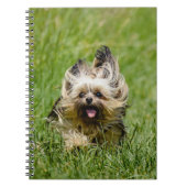Carnet Terrier Yorkshire mignon Traversant L'Herbe (Devant)