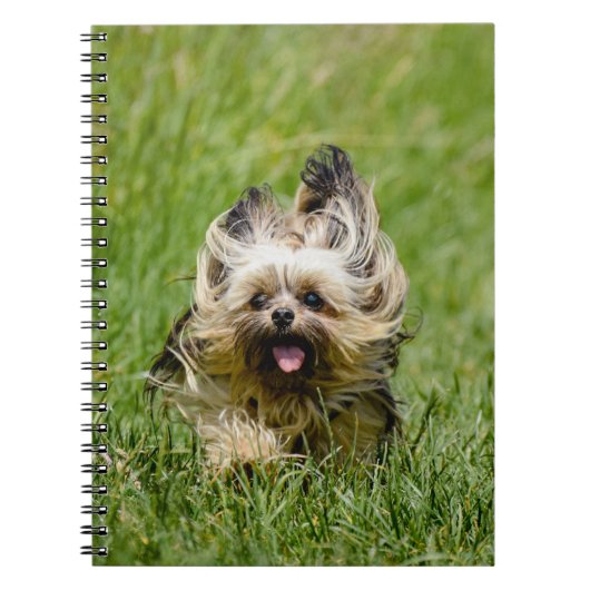 Carnet Terrier Yorkshire mignon Traversant L'Herbe (Devant)