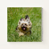 Carnet Terrier Yorkshire mignon Traversant L'Herbe (Dos)
