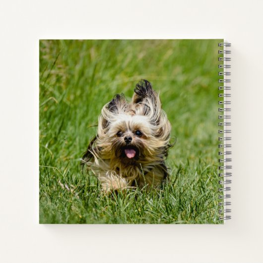 Carnet Terrier Yorkshire mignon Traversant L'Herbe (Dos)