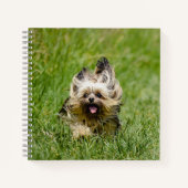 Carnet Terrier Yorkshire mignon Traversant L'Herbe (Devant)