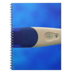 Carnet Test positif de grossesse