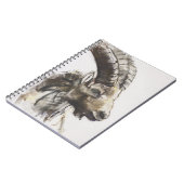 Carnet Testa 2005 (Côté gauche)