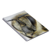 Carnet Tête d'abeille (Côté Droit)