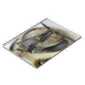 Carnet Tête d'abeille (Côté gauche)